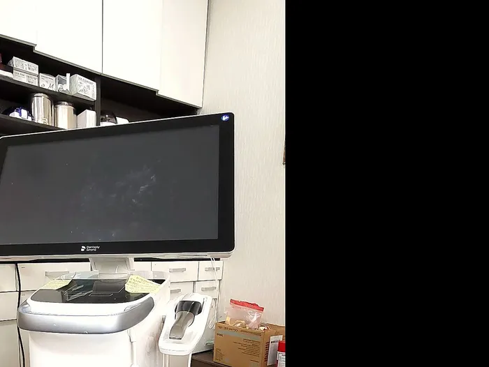 덴츠플라이시로나 CEREC 3D 구강스캐너